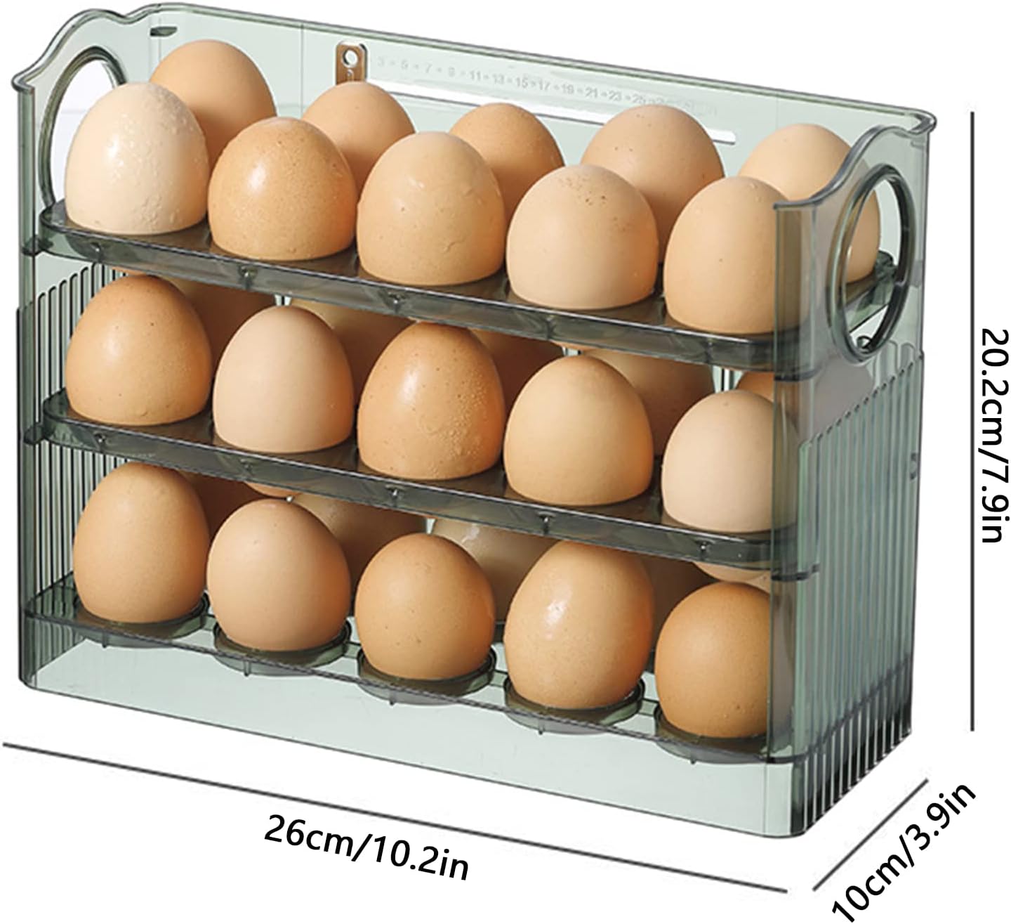 Caja para 30 huevos